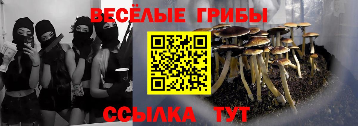 Галлюциногенные грибы Psilocybine cubensis  Галлюциногенные грибы ЛСД  Астрахань  Вход с VPN 